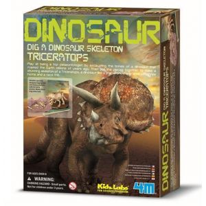 Набор для творчества 4M Скелет трицератопса