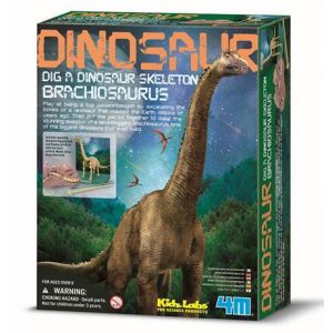 Набор для творчества 4M Скелет брахиозавра