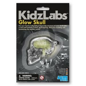 Набор для творчества 4M Светящийся череп