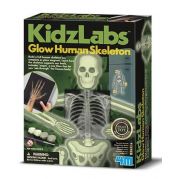Набор для творчества 4M Светящийся скелет человека