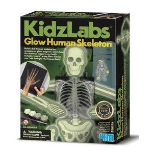 Набор для творчества 4M Светящийся скелет человека