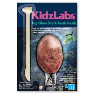 Набор для творчества 4M Раскопки акулы