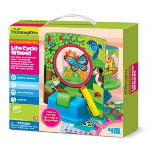 Набор для творчества Жизненый цикл