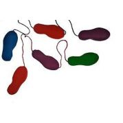 Доріжка Друг П'ятки