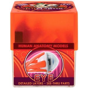 Ein-O Навчальний набір Око