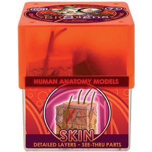 Ein-O Навчальний набір Шкіра