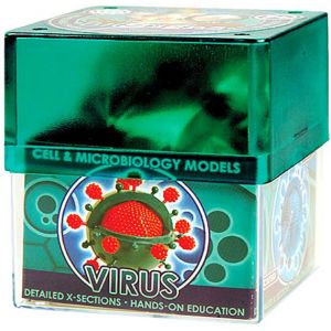 Ein-O Навчальний набір Вірус