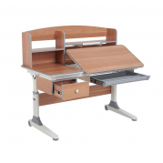 Парта для школяра Tulipa