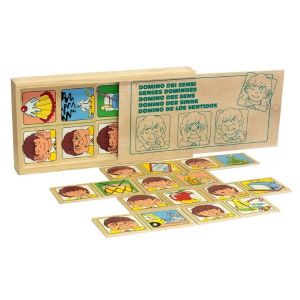 Доміно Органи відчуттів