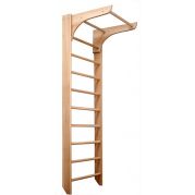 Шведська стінка  з турніком 