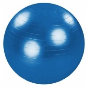 М'яч для фітнесу HMS 1766EG