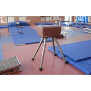 Козел гімнастичний Спортивний Інвентар