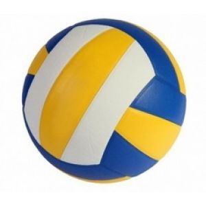 М'яч волейбольний