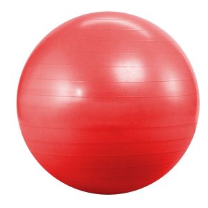 М'яч Фітболл Landfit Fitness Ball 55cm з насосом