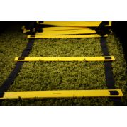 Координаційна драбина