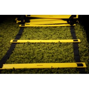 Координаційна драбина