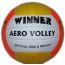 М'яч волейбольний тренувальний Winner Aero