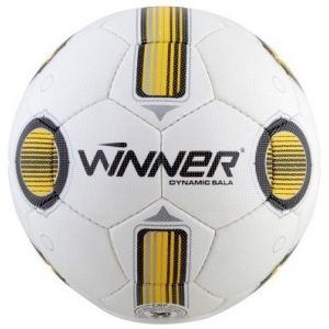 М'яч футзальний тренувальний Winner Dynamic Sala