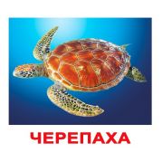 Жители Водоемов