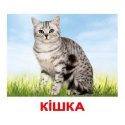 Свійські тварини