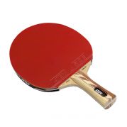 Ракетка для настільного тенісу 4000А PRO, 4000С PRO