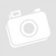 Гра розвиваюча картки на кільці Англійська Світ тварин